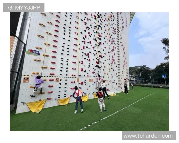 广州攀岩队引领心理素质新潮流攀岩运动员必备的十大心理素质解析